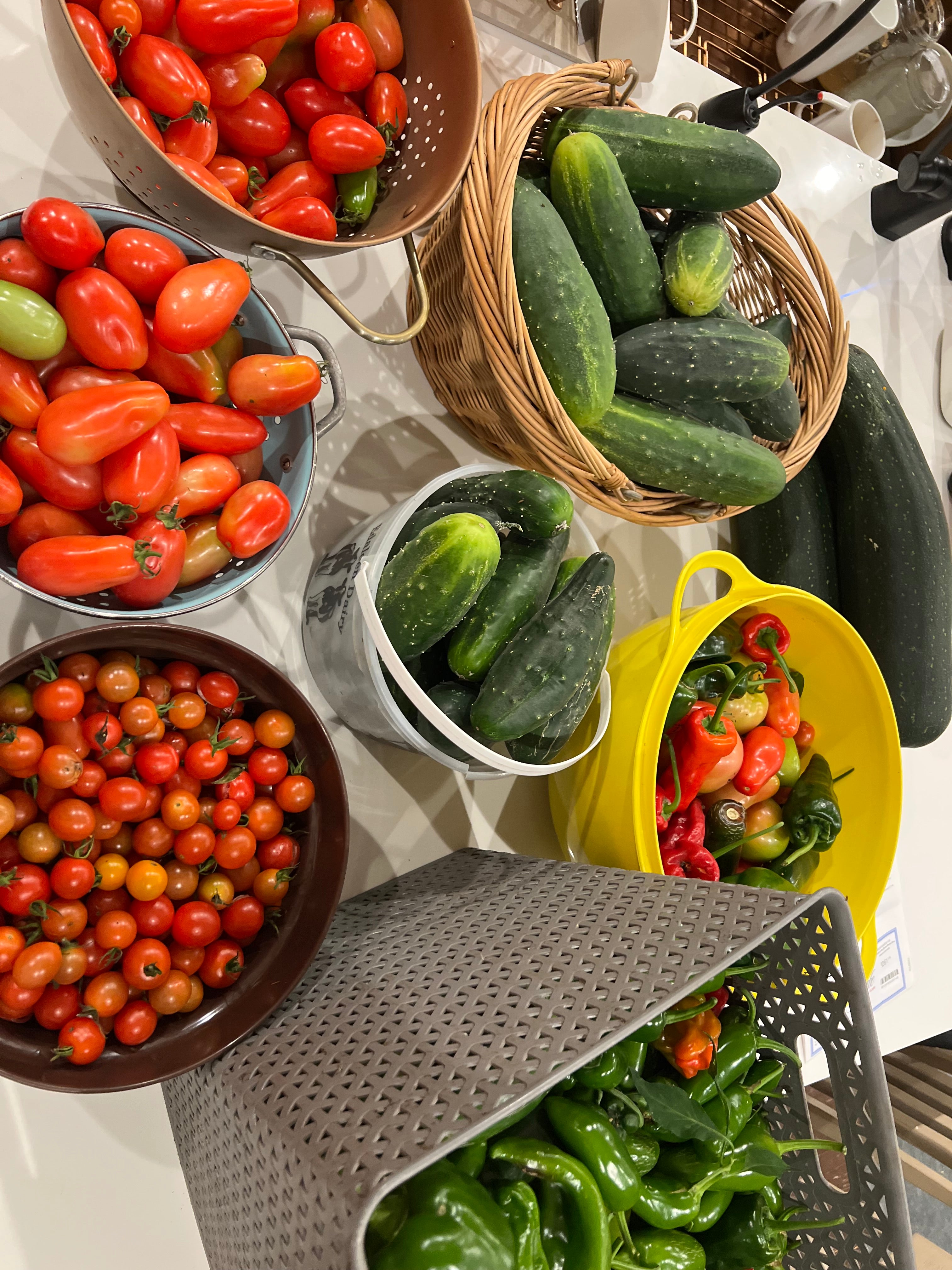 Seasonal Garden Veggies & Other Goods