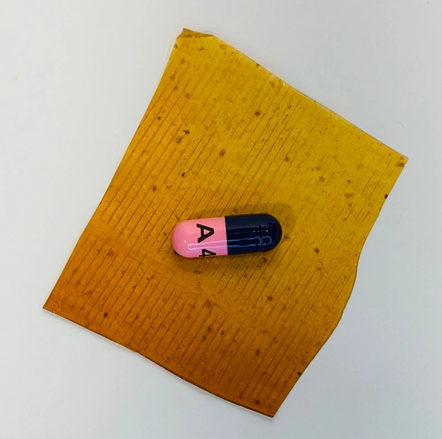 Northern Sundog Co. Premium Pill Wrap – Beef Pumpkin Honey(Limited Ingredient)