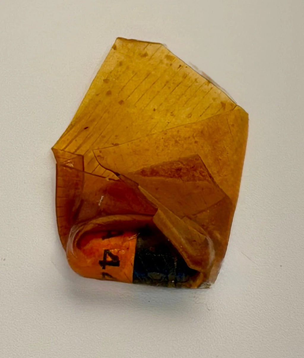 Northern Sundog Co. Premium Pill Wrap – Beef Pumpkin Honey(Limited Ingredient)