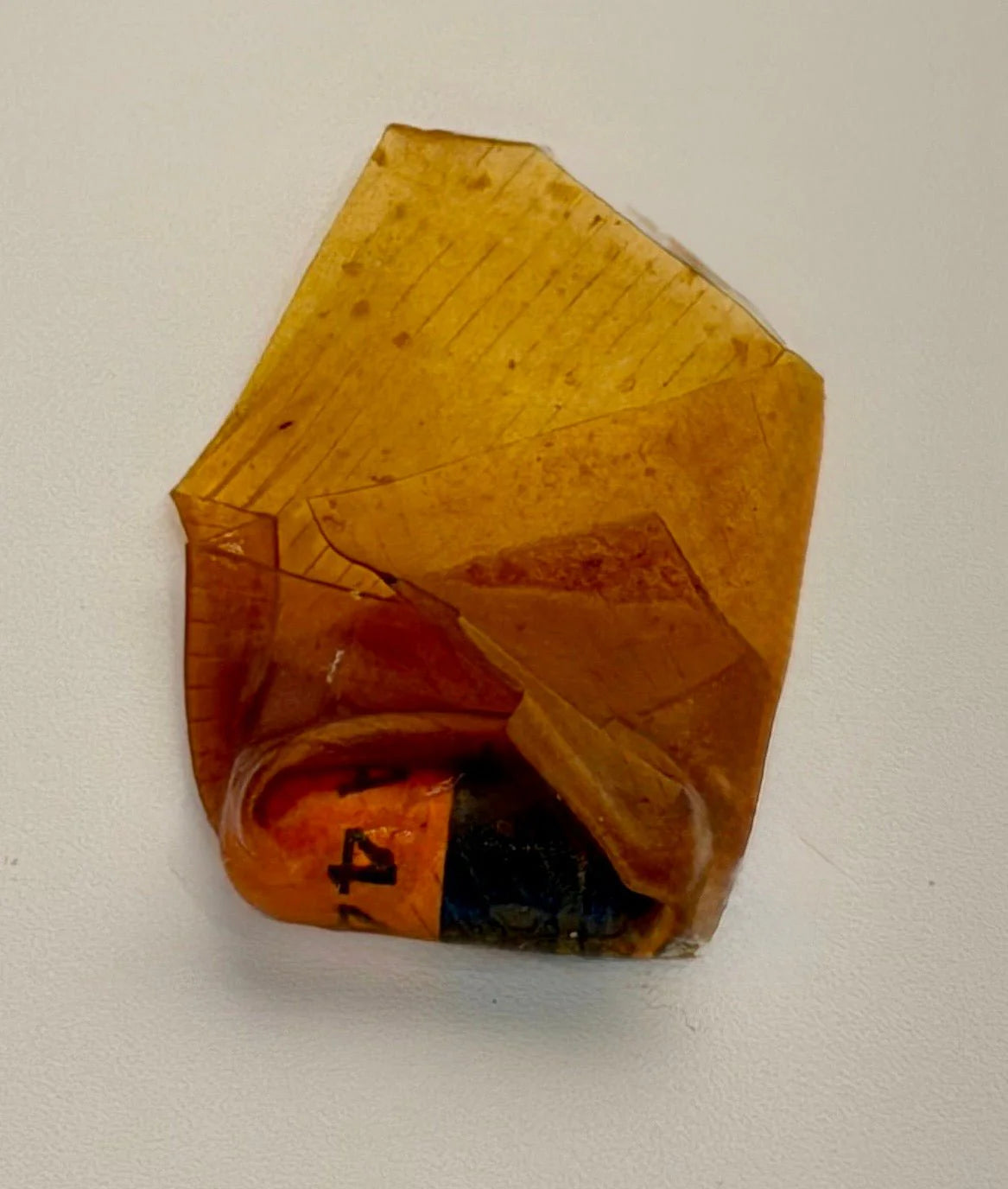 Northern Sundog Co. Premium Pill Wrap – Beef Pumpkin Honey(Limited Ingredient)